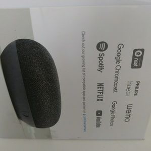 Google Home Mini